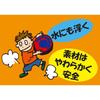 Rangs Japan Dodgebee 235 Poptech