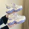 Mesh Breathable Dad Shoes Female New Wedge Thick Sole Lace Up Comfortable Shoes Sport Running Shoes Zapatillas Mujer