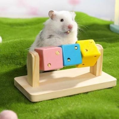 Игрушка для обогащения хомяка Деревянные раскрашенные кубики Игрушка-грызунок для морской свинки Игрушка для стачивания зубов питомца для карликовых хомяков, кроликов, песчанок, шиншилл