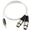 XLR Cable, Microphone Cable, Canon Conversion Cable, Audio Cable, Stereo Cable, 3.5mm Plug (Male) to 2XLR Plug (Female) Stereo Mini Plug (0.5m)
