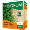 GRASS FOR DRY AREAS 1 KG - BR BIO-1206