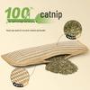 Catnip Dental Cleaning Jute Pillow: Bite-Resistant Teething Toy for Cats