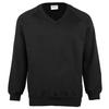 Mens Colorsure V-Neck Sweatshirt