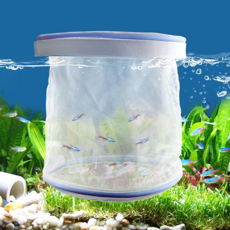 Изоляционная коробка для аквариума, сетка для вылупления рыб, изоляционная сетка для разведения рыб в аквариуме, сетка для вылупления мальков, ящик для разведения рыб, принадлежности для ухода за рыбами