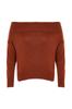 Women's Fashion Stylish Plus Size Sweater Brown Carmen Collar Knitwear Sweater