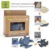Montessori Animal & Plant Growth Cycle Teaching Toys for Kids