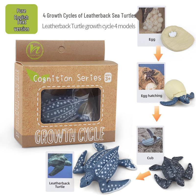 Montessori Animal & Plant Growth Cycle Teaching Toys for Kids