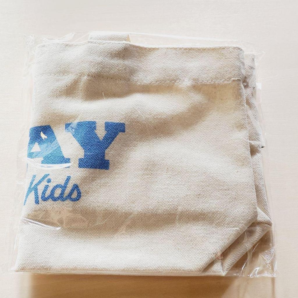 [Б/У] Супер редкая сумка Stray Kids Skiz Korea FC STAY 2nd Season