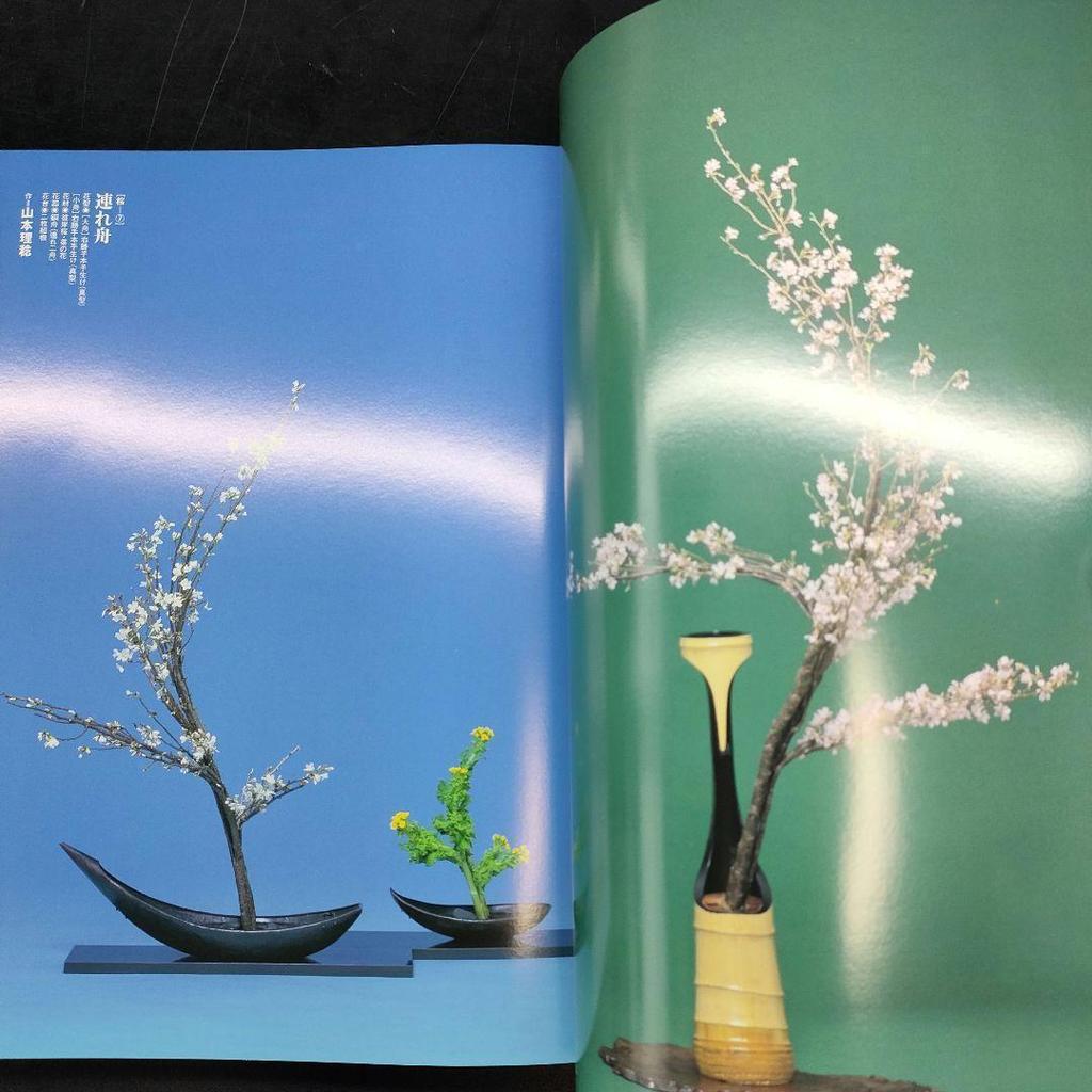 [ИСПОЛЬЗОВАННАЯ] Редкая книга: Каден: Нагаи Риичи и Коллекция «Путешественник с цветком III», Справочник, Кадо, Kyoei Printing