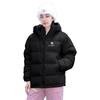 Aerogel Unisex Hooded Puffer Down Jacket