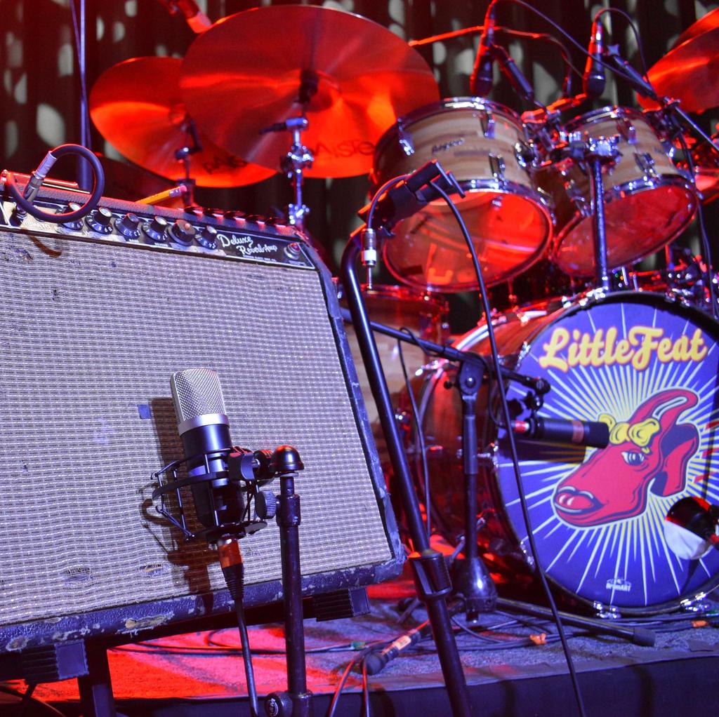 Roswell Pro Audio Mini K67x Large Diaphragm Condenser Microphone