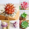 Artificial Plastic Miniature Succulents Plant Echeveria Flower Home DIY Decor