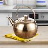 Modern Stainless Steel Tea Infuser Pot for Indoor And Outdoor Use