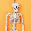 DIY Party Decoration Hanging Halloween Scary Props Human Skeleton Poseable Size