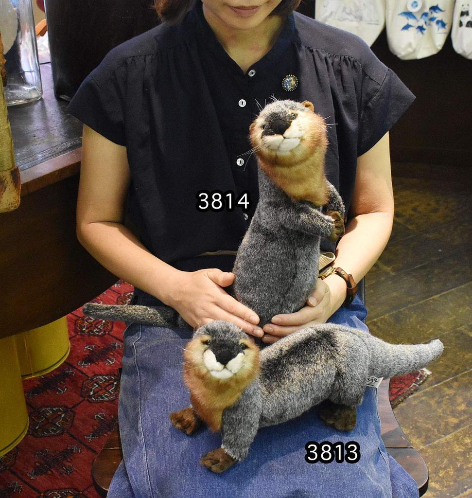 Hansa Выдра №3813