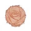 Physicians Formula, дневной хайлайтер Rose, сияние лепестков, 9,2 г (0,32 унции)