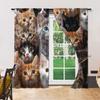 2 pcs, versatile polyester transparent curtains for home decoration Cute Cats for use in bedrooms and living rooms