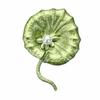 Exquisite Plant Brooch Vintage Flower Brooch Unique Pearl Brooch  Collar Accessories