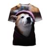 Japanese Shirt Akita Inu Men, Beautiful Dog, Animal Shiba Inu, 3d Printing T Shirt, Loose Short Sleeve Street
