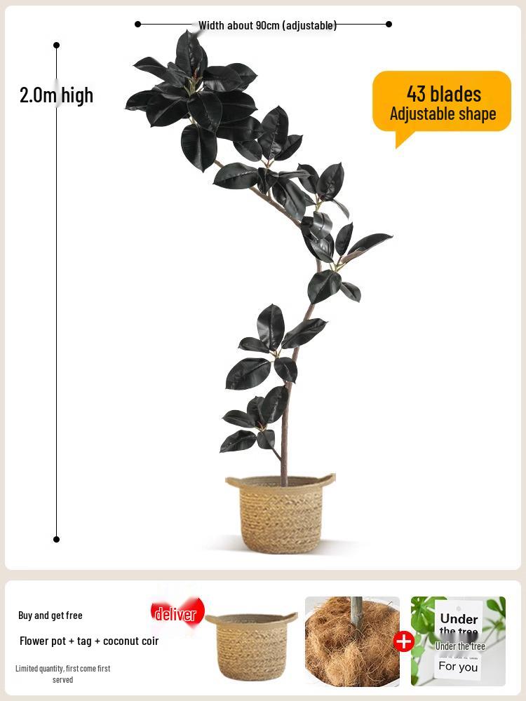 Роскошное искусственное дерево Фикус Эластика Черное Золото: Комнатное украшение и напольное украшение