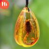 Hi Stone Natural Golden Scorpions Inclusion Genuine Amber Baltic Pendant Necklace