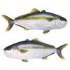 Super Real Life Size Yellowtail Kingfish Reversible BIG Stuffed Cushion 80cm Jigging Yellowtail Hiramasa Hirayama Doll Toy Fish Blue Fish