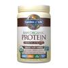 Raw Organic Protein Powder Chocolate, 23.28 Oz