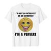 I'm Not An Introvert Or An Extrovert I'm A Pervert Meme T-shirt Men Women 100% Cotton T Shirts Short Sleeve Tops P415