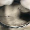 Gucci 429020 Рюкзак с логотипом GG Supreme Бежевый/Черный