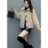Fur Coat Women's Autumn and Winter Lambswool Coat Korean Loose Coat