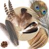 40/48Pcs Assorted Mixed Feathers 6 Styles Peacock Feathers Pheasant Plumage  Handmade Dream Catcher