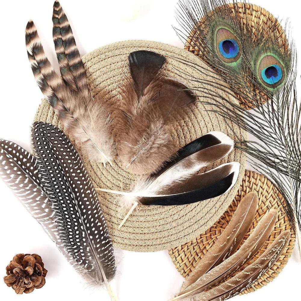 40/48Pcs Assorted Mixed Feathers 6 Styles Peacock Feathers Pheasant Plumage Handmade Dream Catcher