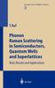 Книга Phonon Raman Scattering In Semiconductors, Quantum Wells and Superlattices : Basic Results and Applications : 142