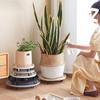 Rolling Plant Caddy with Drip Tray