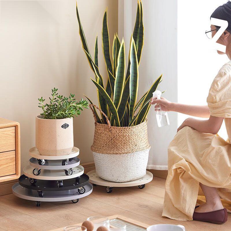 Rolling Plant Caddy with Drip Tray