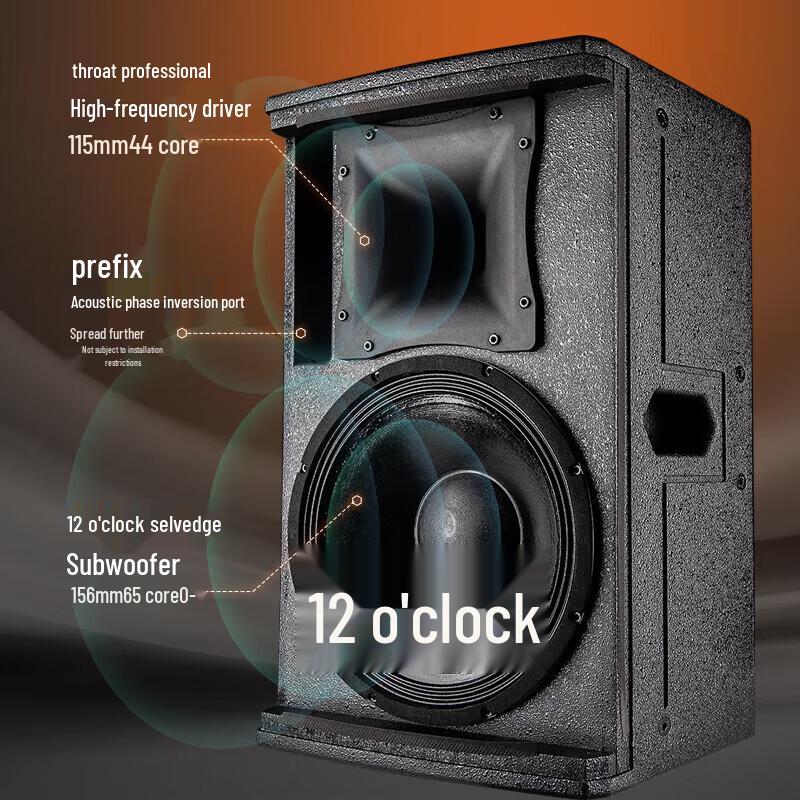 SANSUI KS315 Professional All-in-One Karaoke & PA System CN plug (adapter included)