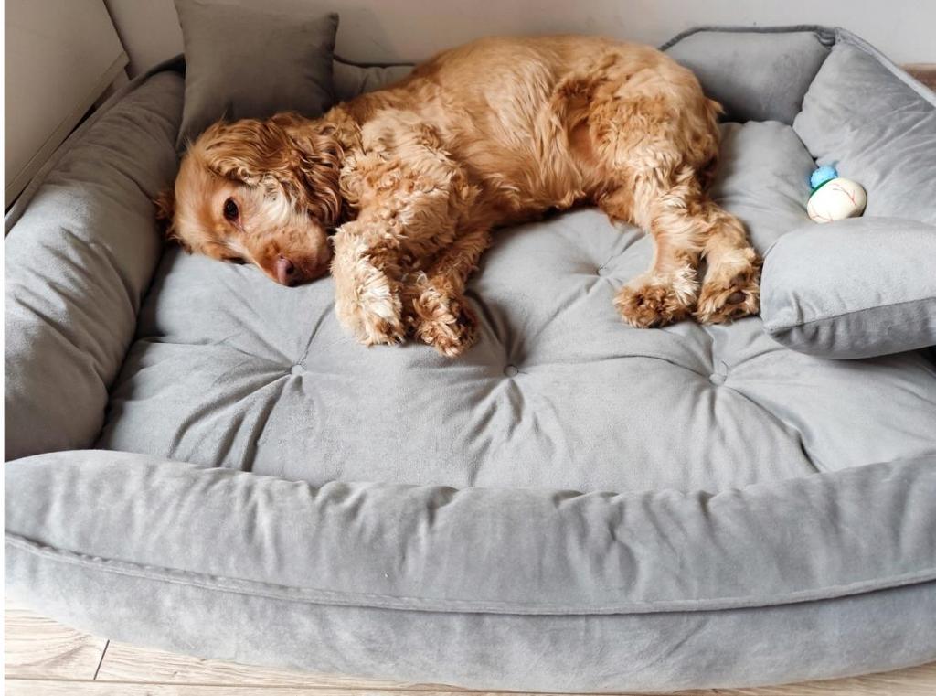 Велюровый лежак для собаки кошки Подстилка Диван Манеж Зеленый Серый 4 размера