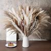 Small Reed Dried Flower Bouquet Small Whisk Small Pu Reed Reed Dried Flower Rabbittail