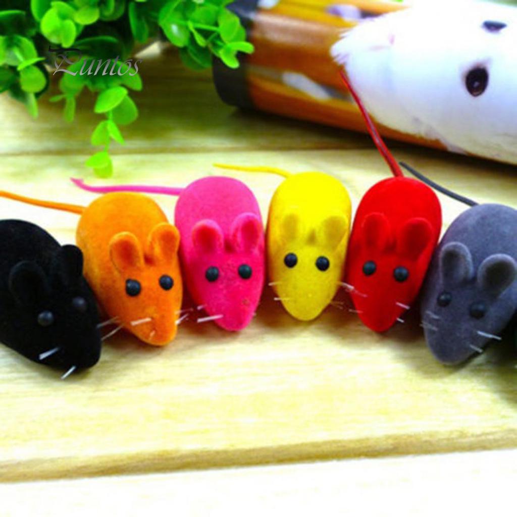 Маленькая мышь, писк, шум, звук, крыса, играет в игрушку для домашних кошек, собак