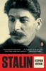 The Stalin : Paradoxes of Power, 1878-1928 Book