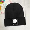 Kawaii Hunter X Hunter Killua Zoldyck Knitted Hat for Women Unisex Skullies Beanies Winter Hats HXH Anime Manga Casual Cap