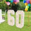 60th Birthday Decorations, Large 100cm Tall Light Up Number 60, Vintage Style Battery Powered LED Floor Standing Sign for Party