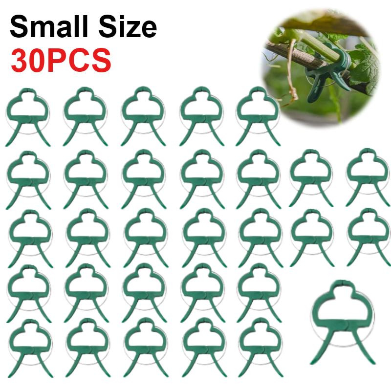 50 шт. фиксированных зажимов для растений, многоразовый зажим для садовой теплицы, кронштейн для фиксированных растений, инструментов для поддержки стеблей саженцев виноградной лозы