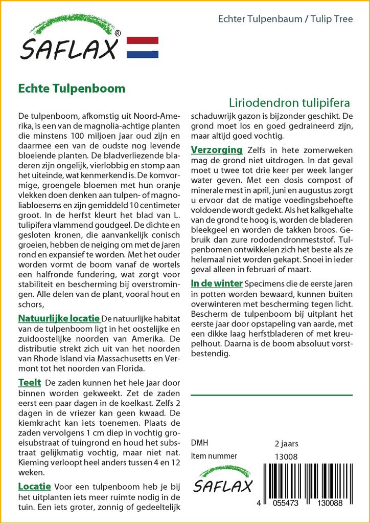 SAFLAX Тюльпановое дерево - 20 семян - Liriodendron tulipifera