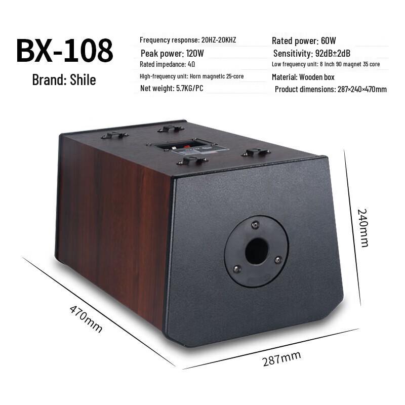 SHILE Professional Conference Room Sound System CN plug (adapter included)
