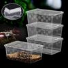 Transparent Reptile Tank Plastic Reptile Transport Container  Reptile Pet Supplies
