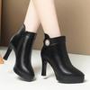 Autumn Women's Platform Shoes New Plus Velvet Stiletto Heel Heeled Ankle Boots Winter Pointed Toe Warm Female Short Boot