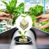Минеральные кубики для рассады из каменной ваты, волокнистые, впитывающие, дышащие, губки для выращивания рассады