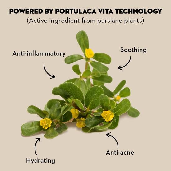 SUGAR Косметика Rage For Coverage 24Hr Foundation | Полное покрытие | Матовый финиш I Кремовая формула | 25 мл - 40 Breve