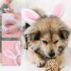 Lovely Bunnies Ear Headbands Durability Pet Headpiece Dog Halloweens Headbands for Easter and Festives Celebrations